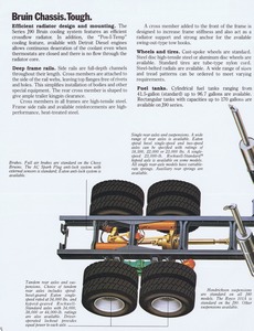 1979 Chevrolet Bruin-06.jpg